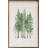 Watercolor Coniferous-1002035778