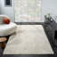 Tapis gris clair / ivoire Conrado Performance-1112739677