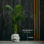 Handmade Pot Planter-52454973