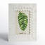 Langham White Bone Embossed Picture Frame