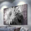 « big bertha fleuris » par leda robertson, reproduction d’art sur toile tendue-16031769