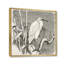 Petit oiseau aigrette - reproduction de dessin sur toile-59761023-59761025