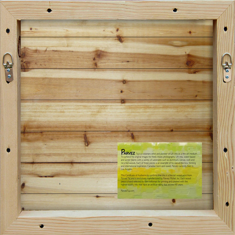Paddles par Parvez Taj - reproduction de photo sur bois, H 48 po x l 48 po