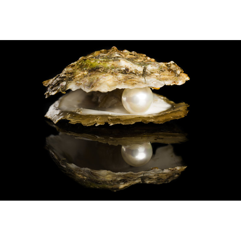 Oyster With Pearl by Aluxum - No Frame Art Prints on Canvas, 81cm H x 122cm W