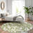 Premium Machine Washable Prisco Green Rug-1520484861