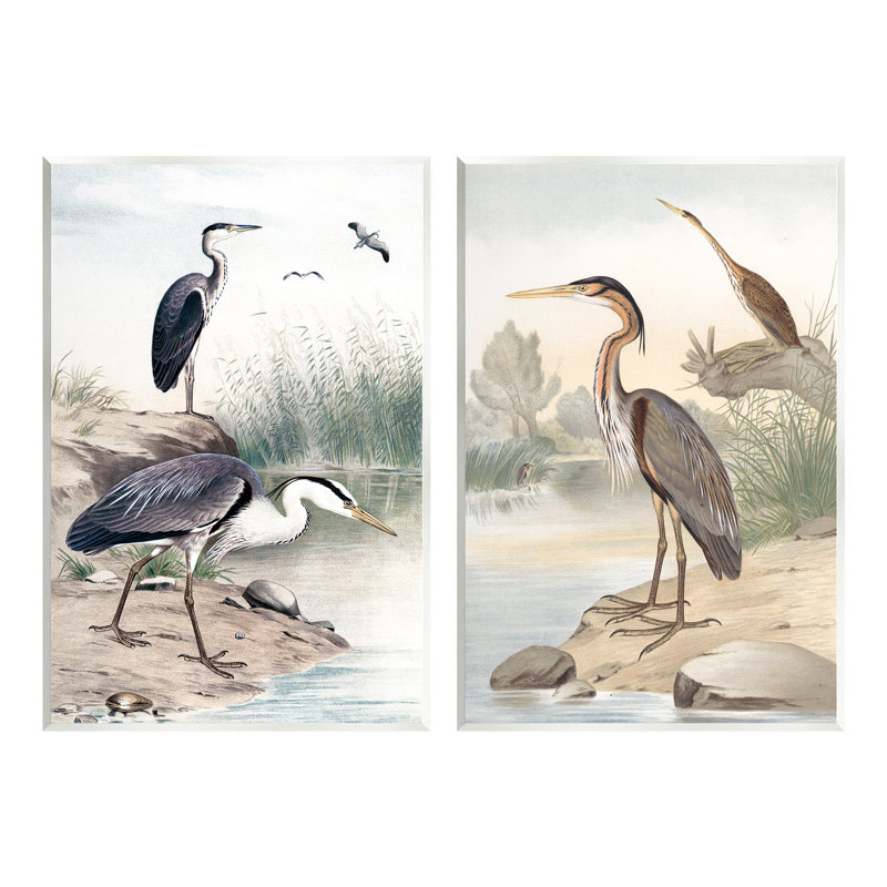 «Elegant Heron Birds Forager River Edge Scene» par Piddix - ensemble de 2 impressions non encadrées