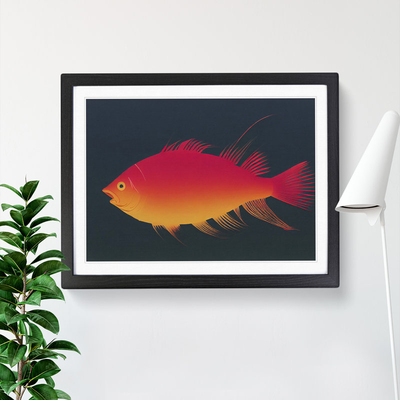 Contemporary Fish - Framed Print, Black, 46cm H x 64cm W x 2cm D
