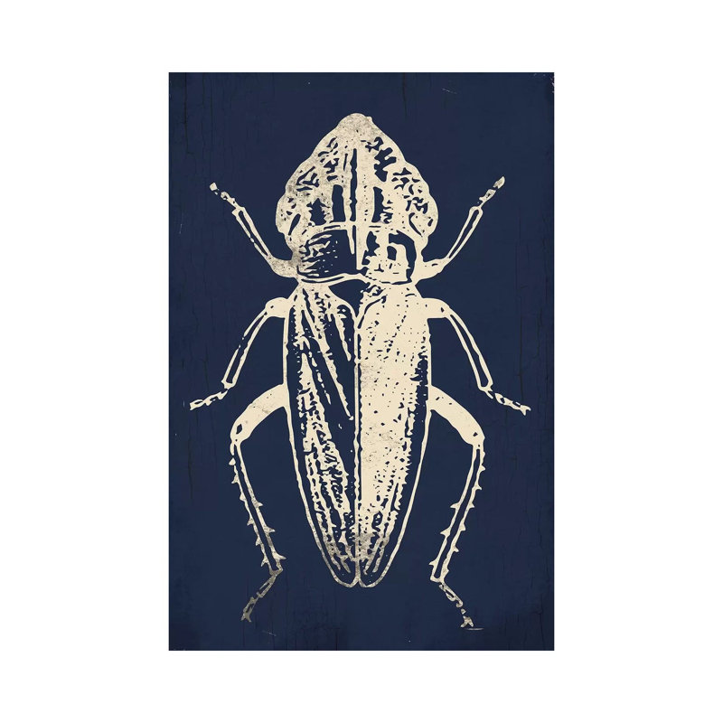 Bug Life Three by Milli Villa - Wrapped Canvas Print, 20.32 cm H x 30.48 cm W