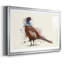 Pheasant Splash 5, reproduction d'art sur papier-2066183022-2066183019