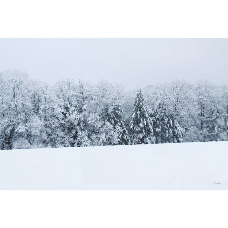 Snowshoe Hill, H 24 po x l 36 po
