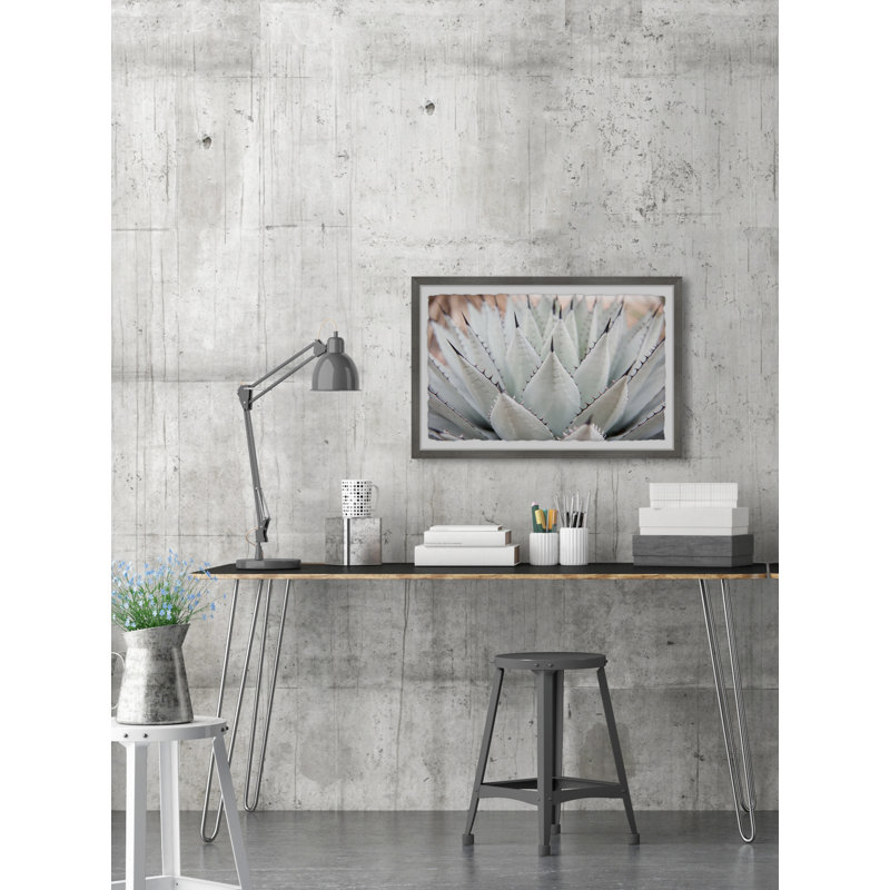 Parry's Agave - Single Picture Frame Painting, 20 cm H x 30 cm W