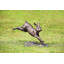 Running Rabbit Garden Statue