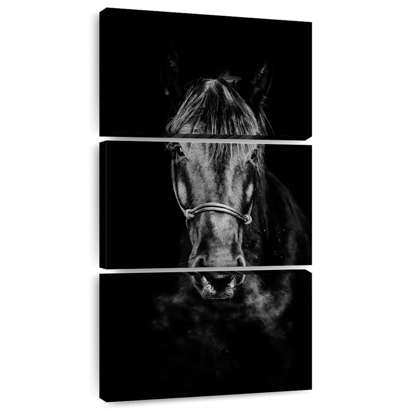 Cheval noir de près, H 44 po x l 21 po