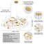 1 - Light Chandelier-146930475