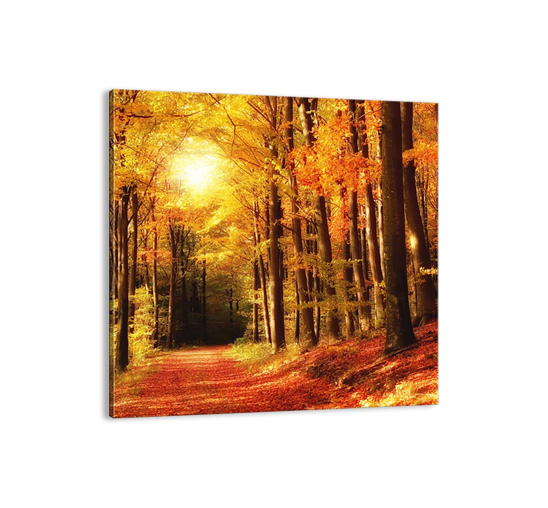 Leinwandbild - Fotografie „Golden Autumn on a Forest Road”