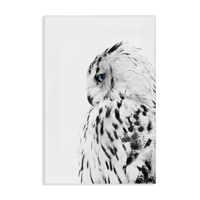 Art mural sur toile, hibou avec regard fort par Design Fabrikken bp-993_CN