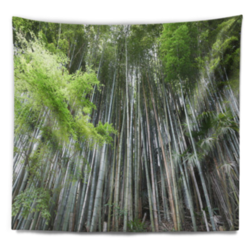 Tapisserie forêt dense de forêt de bambous du Japon, H 50 po x l 60 po