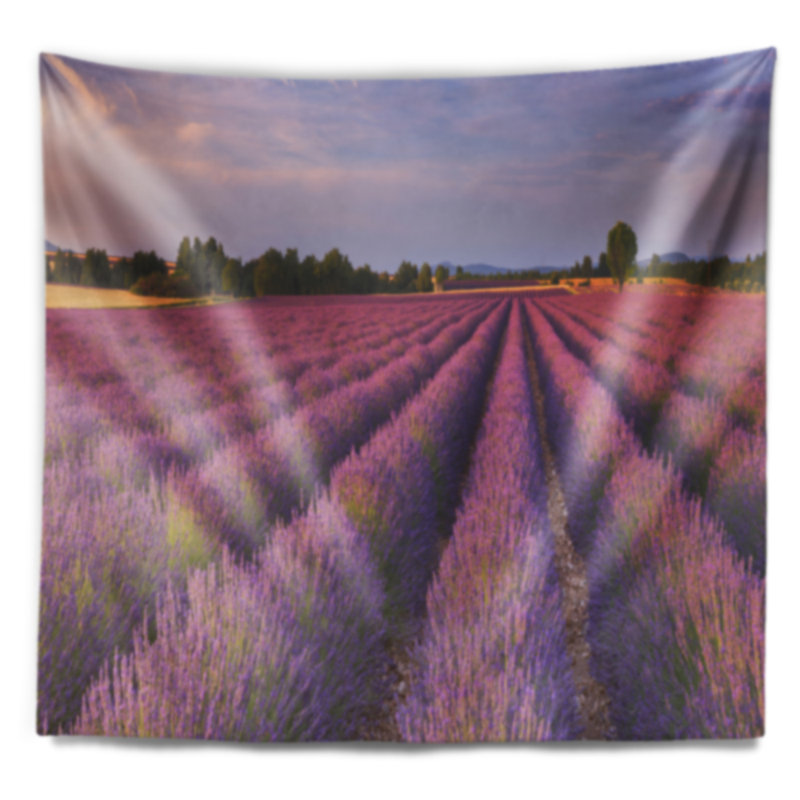 Paysage, lavande, rangées de fleurs en tapisserie, H 32 po x l 39 po