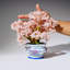 Genuine Rose Quartz Bonsai Tree In Round Ceramic Pot (8.5€ Tall)