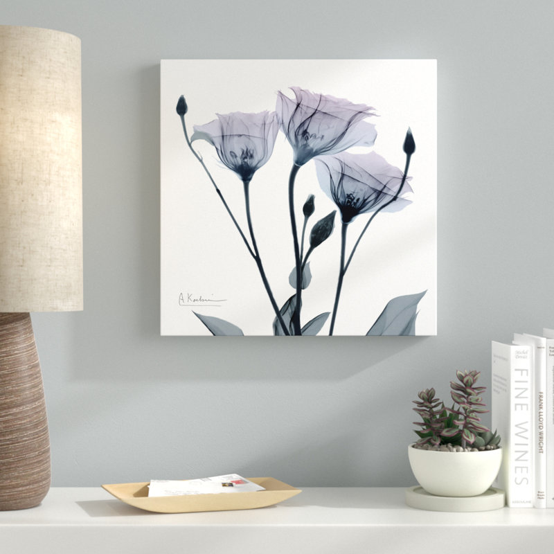Midnight Gentian I - Wrapped Canvas Print, 46cm H x 46cm W