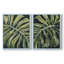 Reproduction encadrée Nocturnal Monstera I-Premium - prête à être accrochée - aucun clou requis - aucun clou requis-280901698-280901705
