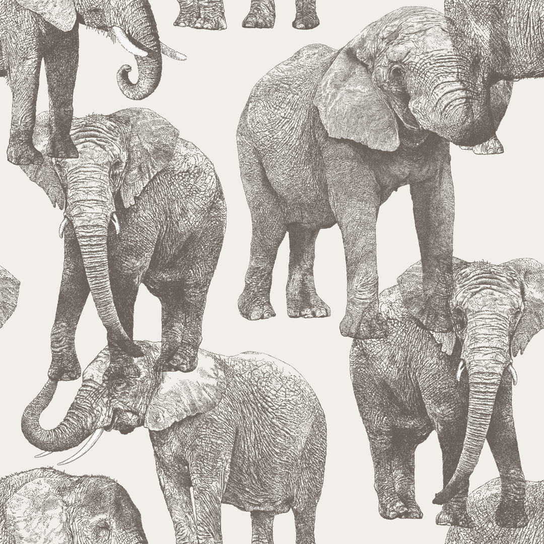 Afrikanischer Elefant Repeat Pattern von MattGrove - Leinwanddrucke