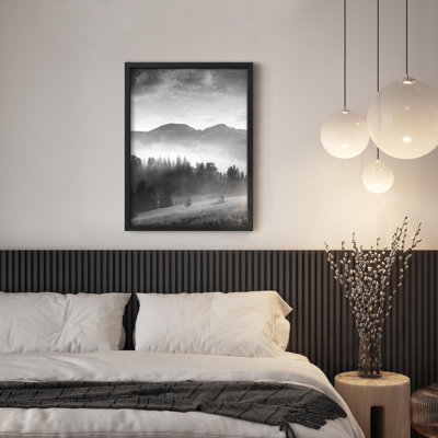 Forêt brumeuse, paysage, art noir et blanc