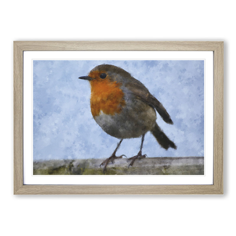 Robin Bird Vol.1 - Picture Frame Painting, 36cm H x 48cm W x 2cm D, Oak Framed
