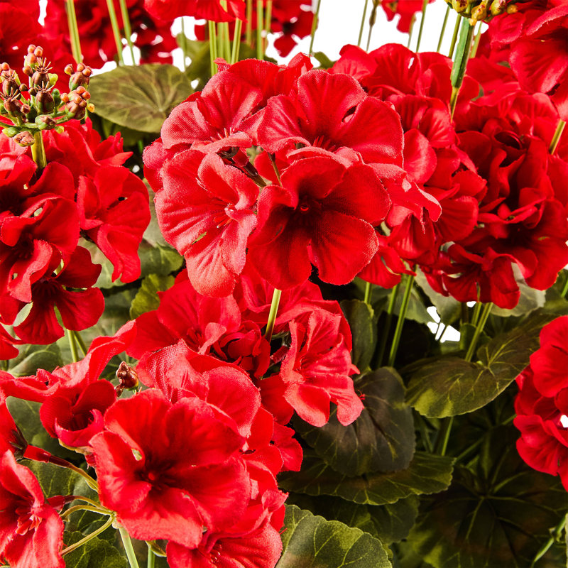 Geranium Urn Filler, Red