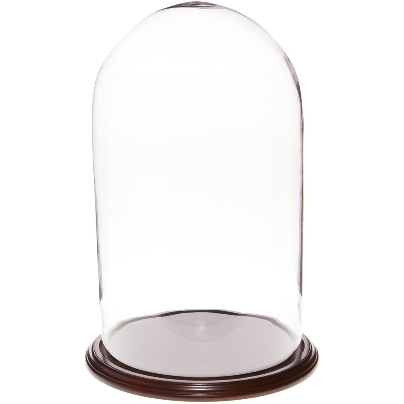 Cloche à dôme en verre 11,75 "x 20" Vucciria, Base en placage d'acajou foncé