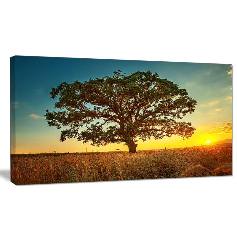 «Big Green Tree in Summer Field», reproduction de photo sur toile tendue, H 16 po x l 32 po