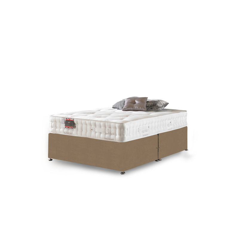 Ashington Pocketsprung Divan Bed Set, Mink Plush Velvet, No Storage, Kingsize