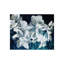 Paper Whites Print-26946701-26946703