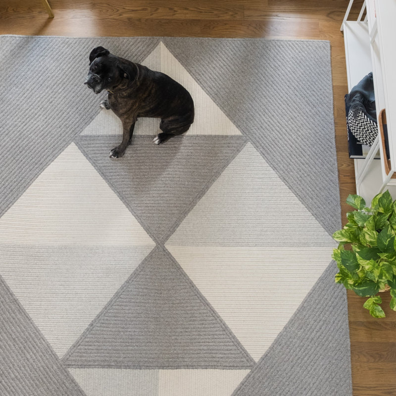 Tapis à motif géométrique en fibres naturelles tissées à plat à la main et à plat gris, Rectangle 5 pi x 7 pi