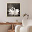 Impression sur toile «Sea Fan II S / 3» par Vision Studio
