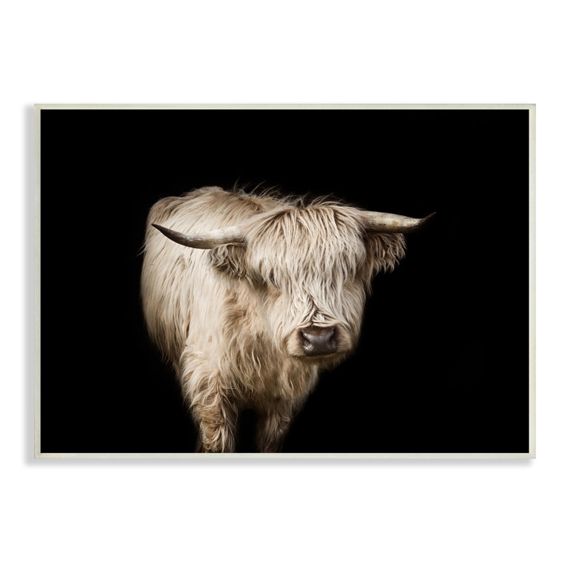 «Solenn Clever Portrait Modern Farm Animal Over Black» par Marika Moffit - reproduction, H 19 po x l 13 po, Plaque murale