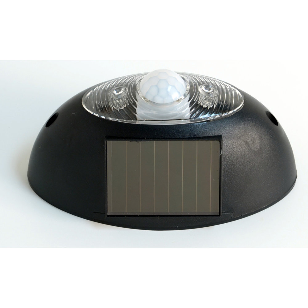 Vanesa Black Solar Powered Integrated LED Flood Light
