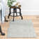 Cait Oriental Indoor Rug