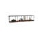 Parvarti Accent Shelf