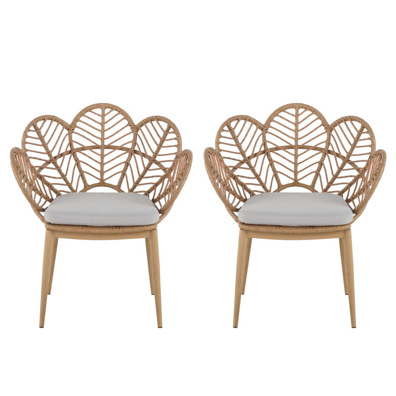 Ensemble de 2 chaises d'extérieur en forme de paon en osier Kirk