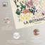 «Fleurs», affiche abstraite sur toile, plantes par Art Remedy-104324974-104324979