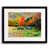 Black Framed Paper selected