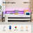 Daybed With Charging Station And LED Lights,Heavy Duty Metal Day Daybed With Pop Up Trundle, No Box Spring Needed-110431118-121846899