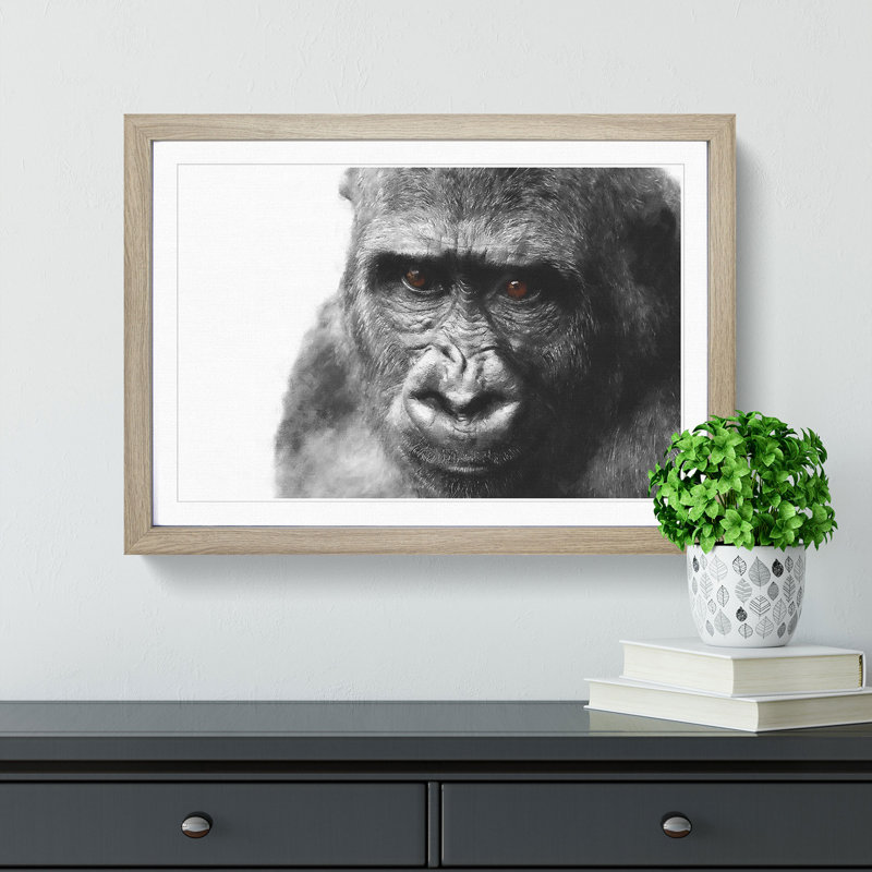 Gorilla with Brown Eyes - Picture Frame Graphic Art Print, Oak Framed, 33cm H x 45cm W x 2cm D