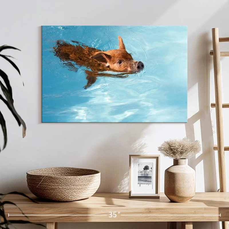 Brampt Swimming Red Piglet, 16" H x 24" W