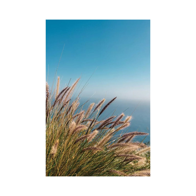 Wild Big Sur II by Bethany Young - Print on Canvas, 30.48cm H x 20.32cm W x 1.91cm D, Wrapped Canvas