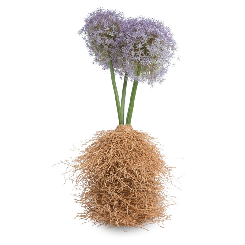12" Vetiver Decorative Sculpture