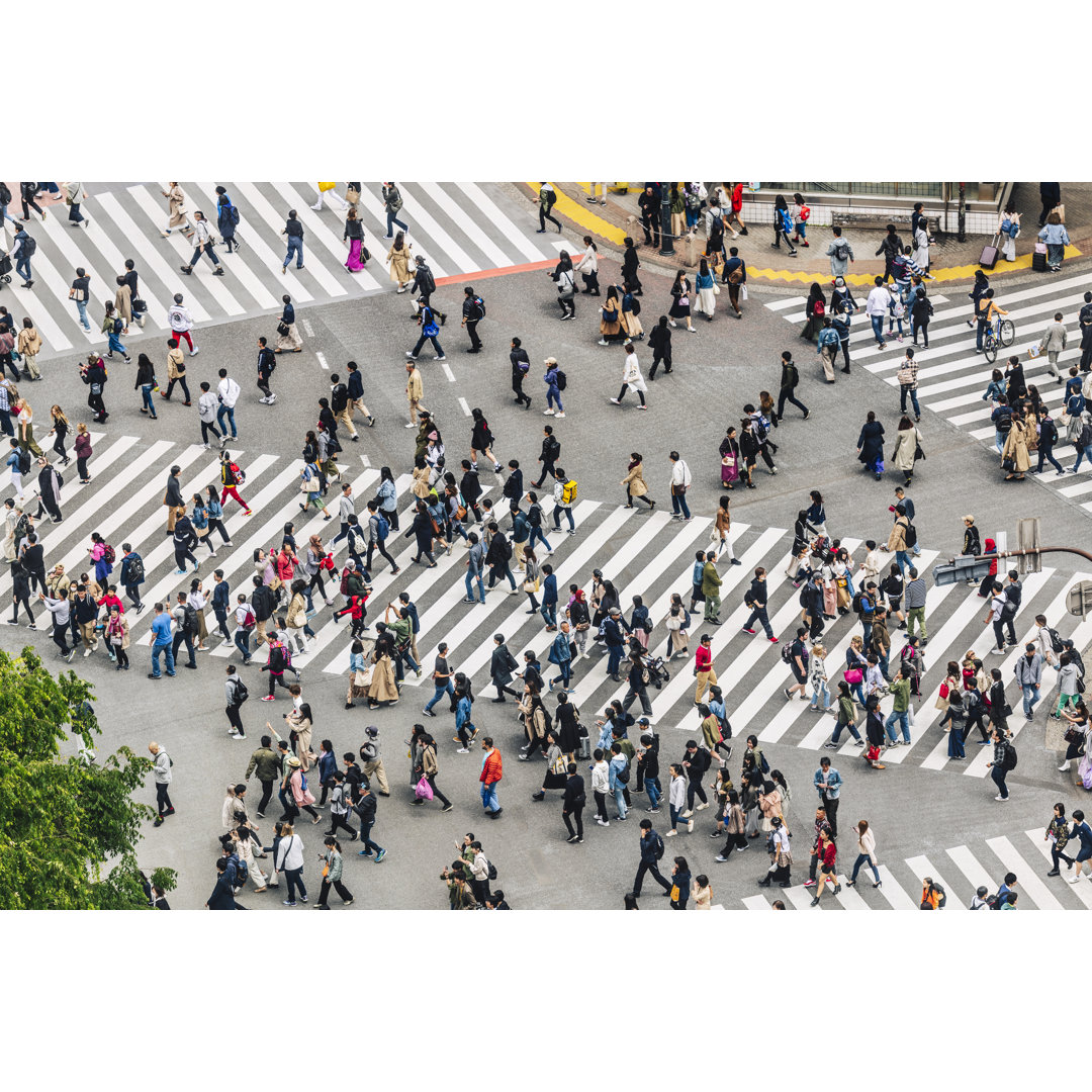 Shibuya Crossing, Tokio, Japan von JohnnyGreig - Druck auf Leinwand ohne Rahmen