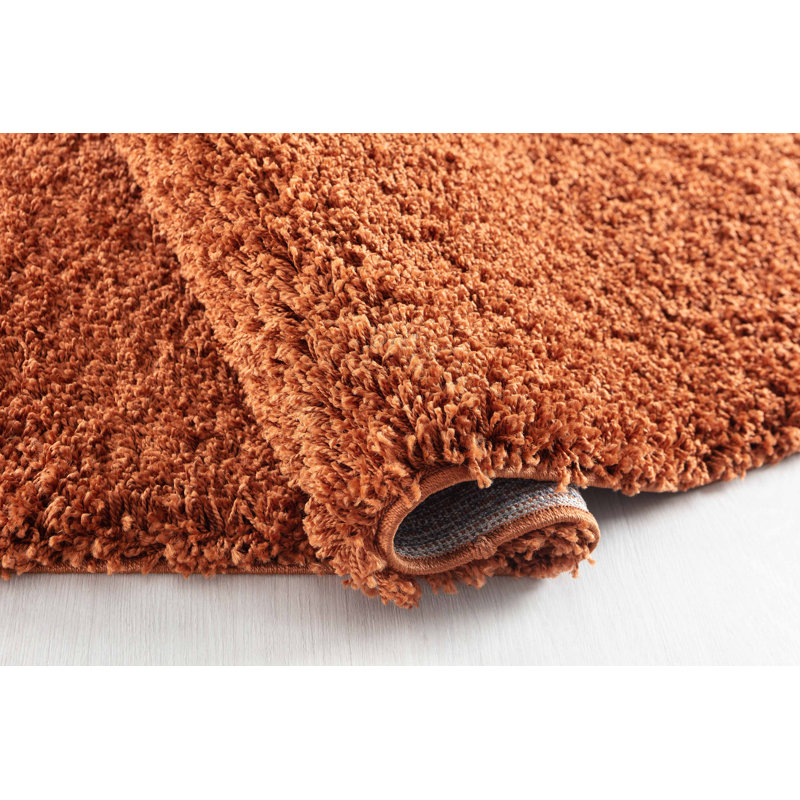Esterly Solid Colour Shag Area Rug, Rectangle 60 x 110cm