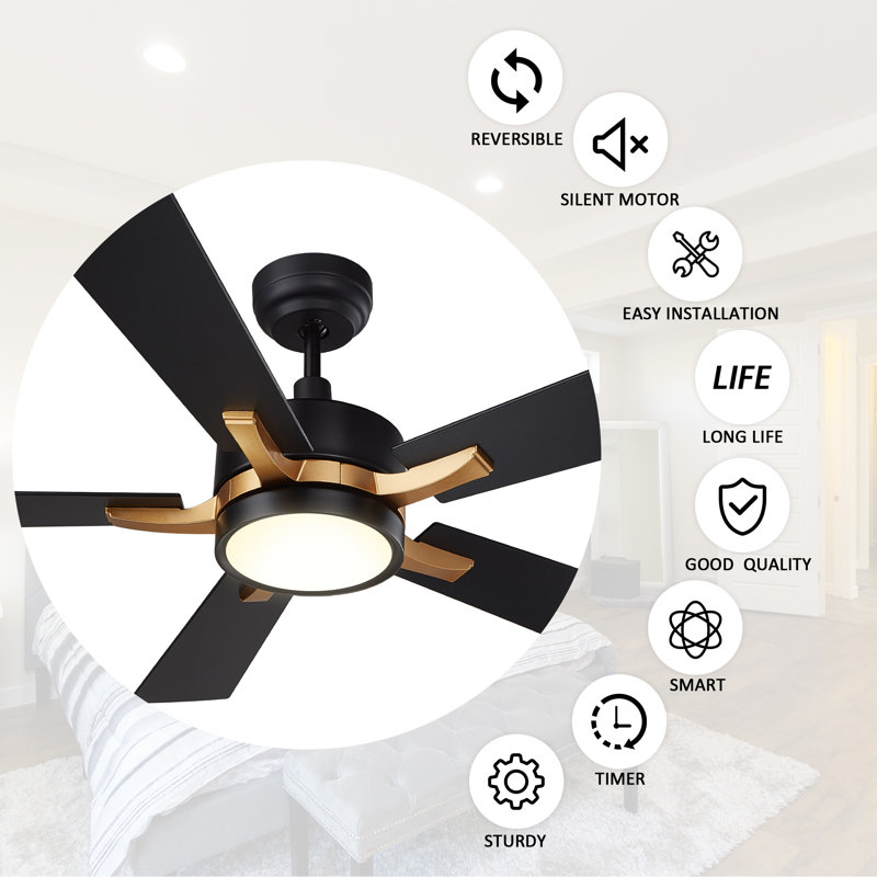 Briyan Ceiling Fan with LED Lights, Black